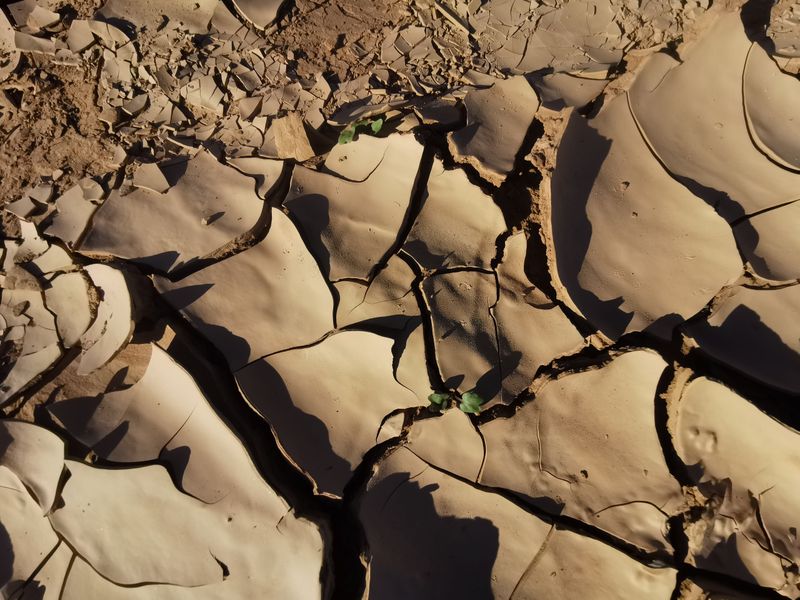 Rainfall Alone Doesn't Reach Deep Roots