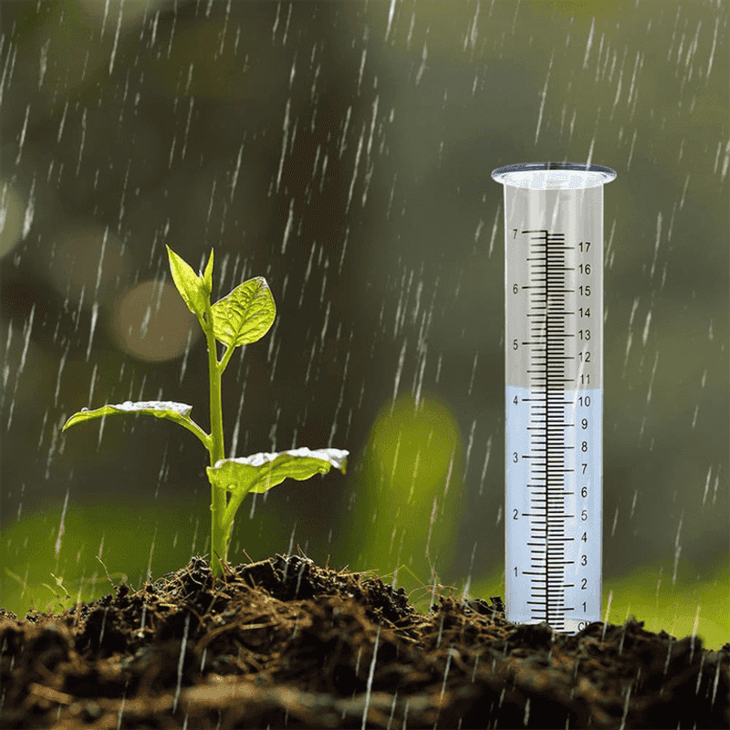 Rainfall And Temperature Should Guide August Watering