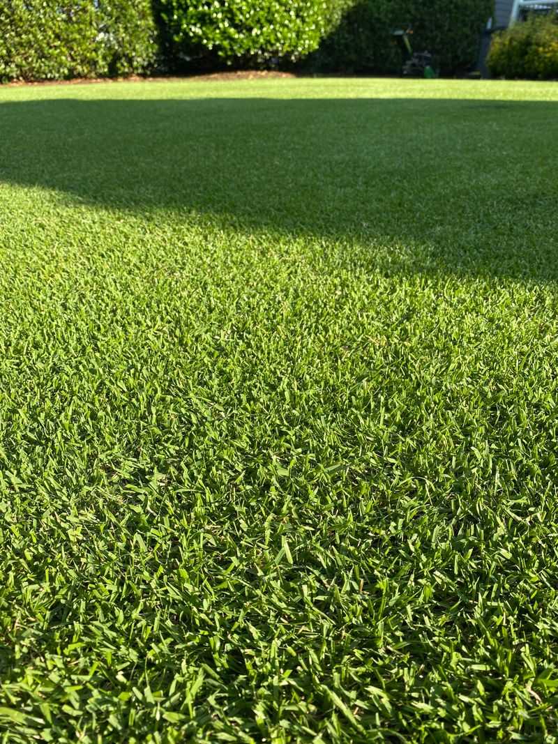 Rainfall Patterns Wash Nutrients Away Unused