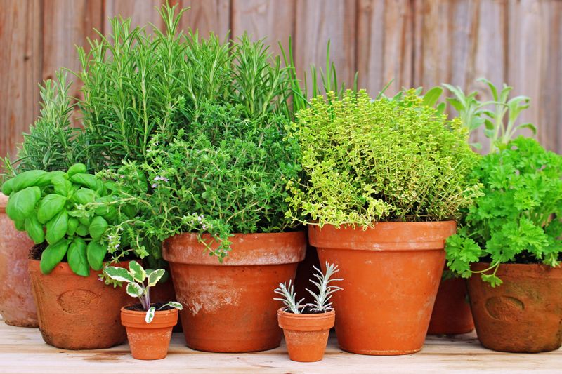 Raise Containers So Drain Holes Stay Open Raise Containers So Drain Holes Stay Open