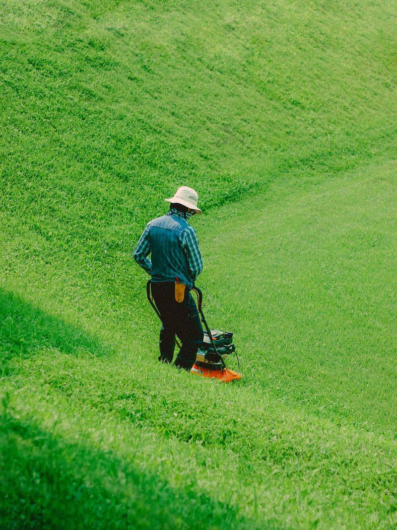 Raise Mowing Height Before Heat Stress Peaks Raise Mowing Height Before Heat Stress Peaks
