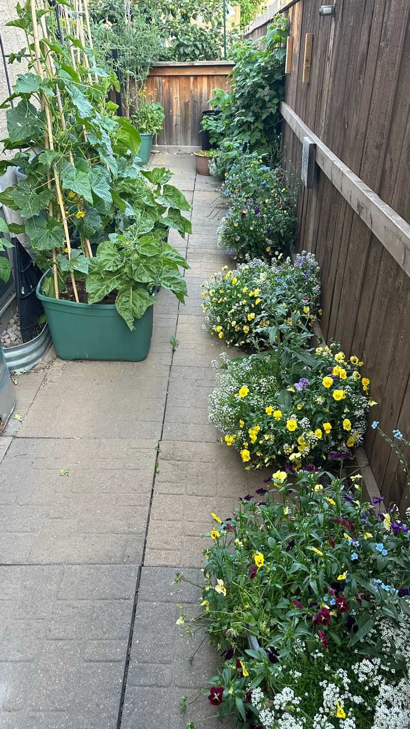 Raise Vulnerable Plants Into Containers