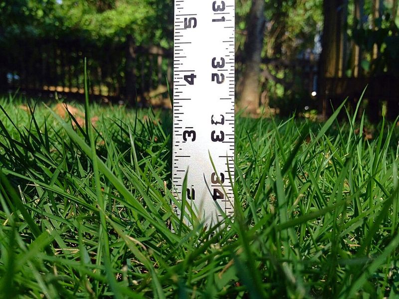 Raise Your Mower Blade During Dry Weather