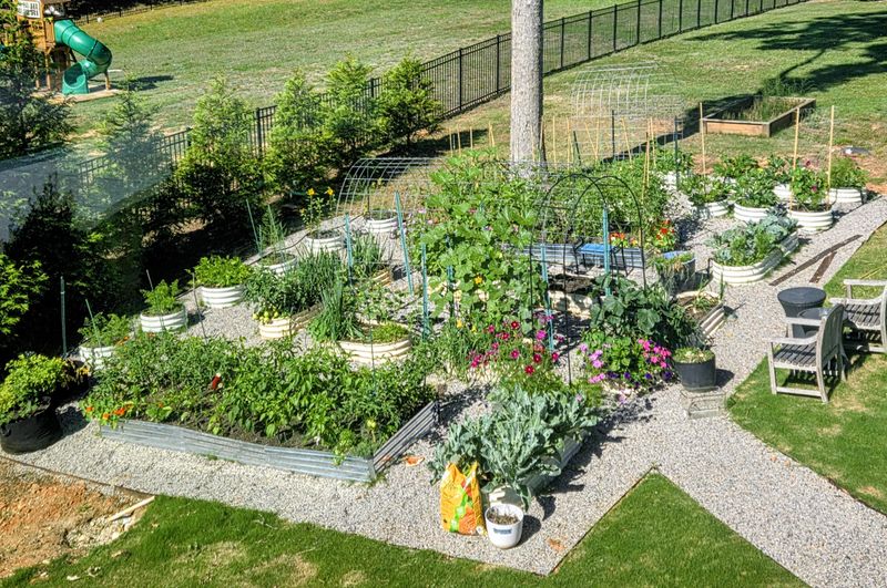 Raised Beds And Containers Make Replanting Easy Raised Beds And Containers Make Replanting Easy