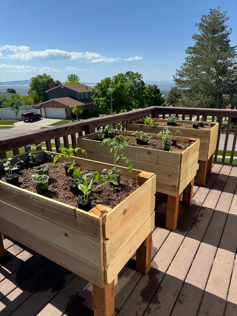 Raised Beds Avoid Much Of The Compaction Caused By Foot Traffic Raised Beds Avoid Much Of The Compaction Caused By Foot Traffic