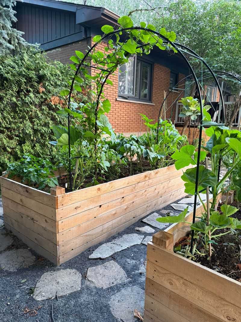 Raised Beds Can Be Positioned Away From The Wettest Parts Of The Yard Raised Beds Can Be Positioned Away From The Wettest Parts Of The Yard