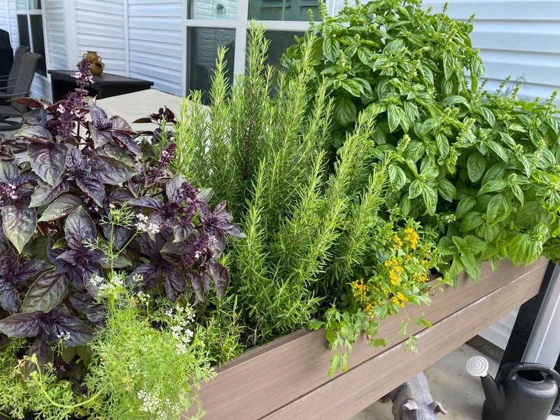 Raised Beds Can Help Wet Sites