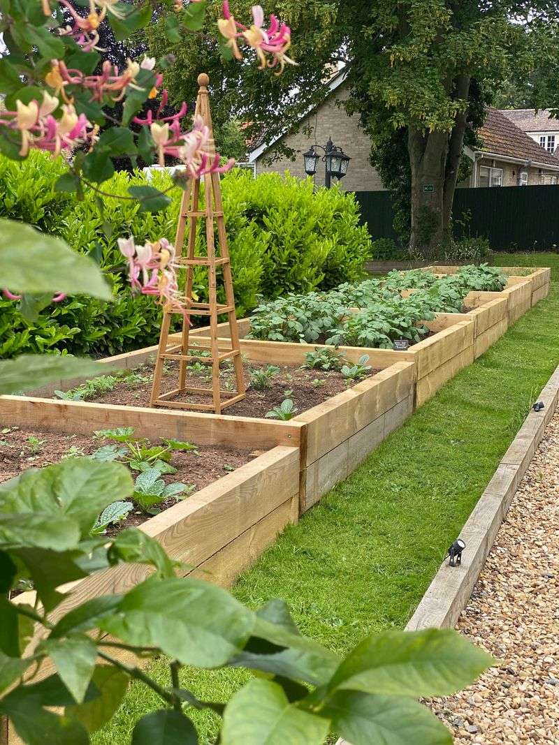 Raised Beds Can Recover Faster After Heavy Rain When Built Correctly Raised Beds Can Recover Faster After Heavy Rain When Built Correctly