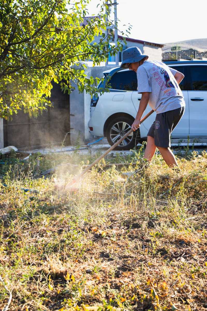 Rake Away Dry Grass And Debris Rake Away Dry Grass And Debris