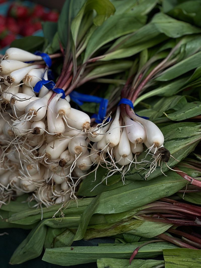 Ramps Ramps
