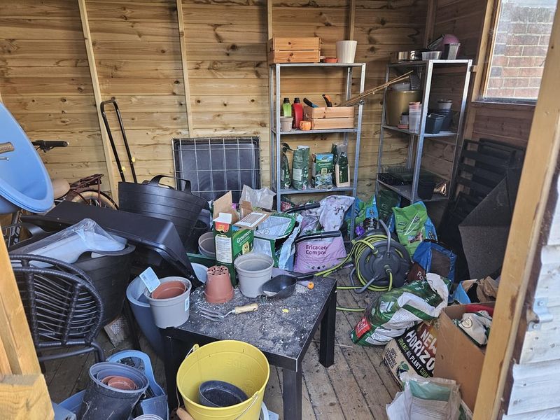 Rats Love Storage Areas People Rarely Move
