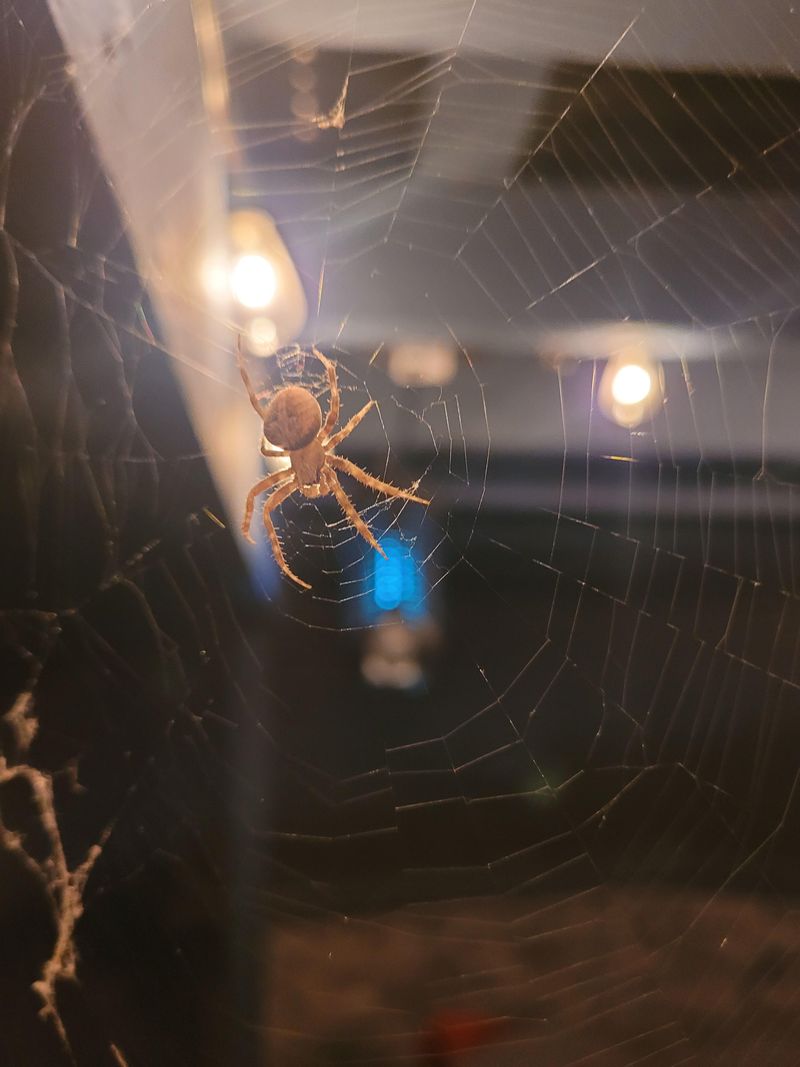 Reduce Outdoor Lighting After Dark
