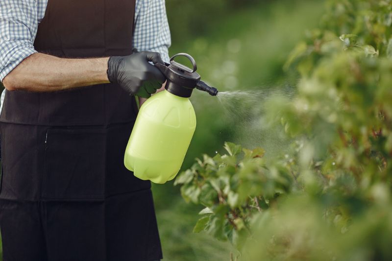 Reduce Pesticide Use During Recovery Period Reduce Pesticide Use During Recovery Period