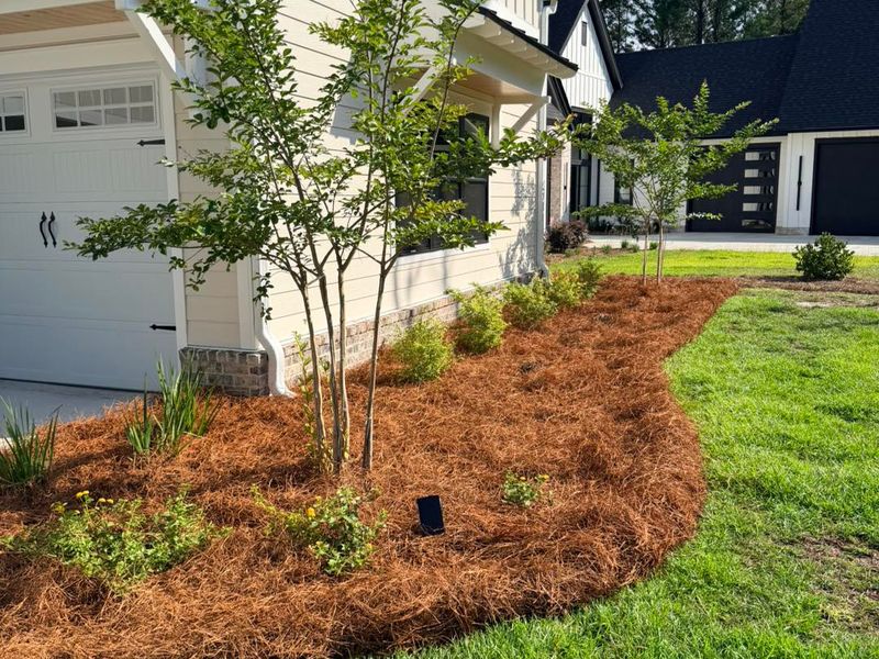 Refreshing Mulch Layers As Summer Progresses Refreshing Mulch Layers As Summer Progresses