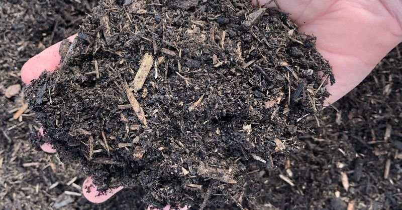 Refreshing Or Replacing Bark Dust Correctly