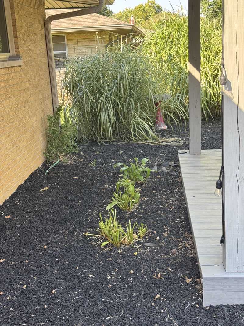 Regular Cleanup Keeps That Fuel From Building Up