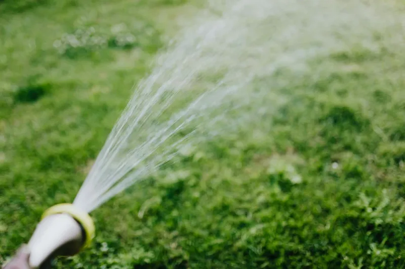 Regular Moisture Supports The Lawn During Fall Growth