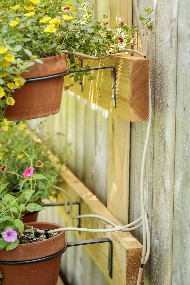Regular Watering Matters More In Small Growing Spaces Regular Watering Matters More In Small Growing Spaces
