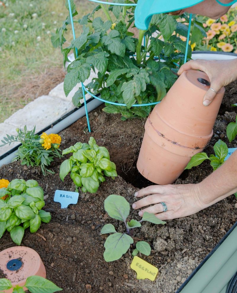 Relying On An Olla Too Soon Can Leave New Transplants Thirsty Relying On An Olla Too Soon Can Leave New Transplants Thirsty