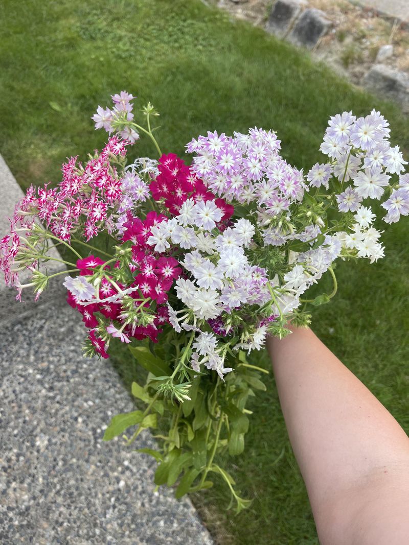 Remember That Cutting Alone Does Not Guarantee Flowers Remember That Cutting Alone Does Not Guarantee Flowers