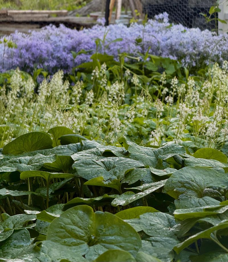 Remove Overgrown Patches Instead Of All Plants