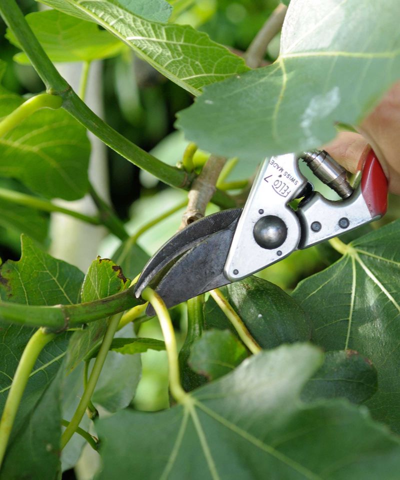 Remove Problem Branches Without Overdoing The Job
