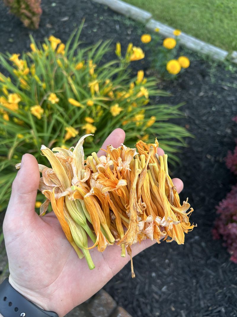 Remove Spent Flower Stalks Promptly