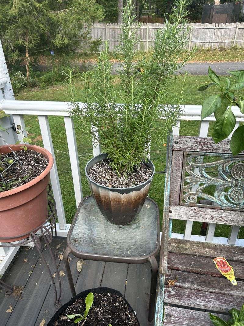 Remove Standing Water Around The Patio Remove Standing Water Around The Patio