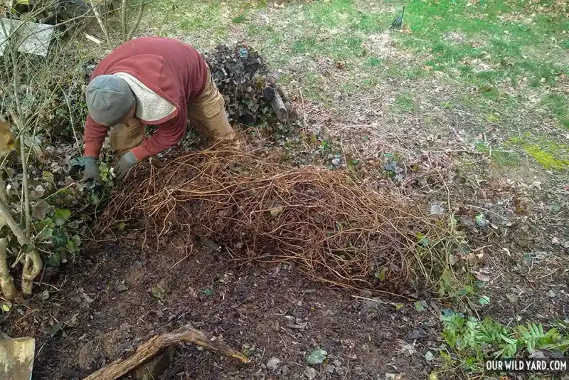 Remove the Ground Patch and Watch It Remove the Ground Patch and Watch It