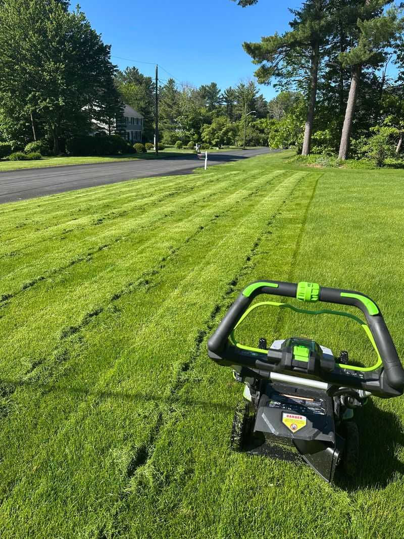 Removing Clippings Instead Of Leaving Them For Moisture Removing Clippings Instead Of Leaving Them For Moisture