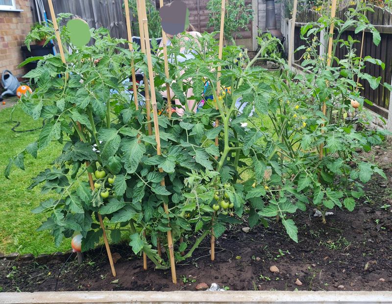 Removing Shade Cloth On Cooler Or Overcast Days