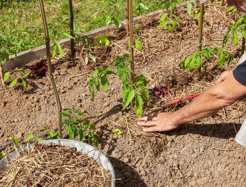 Replace Washed Away Mulch Once The Soil Begins To Dry Replace Washed Away Mulch Once The Soil Begins To Dry