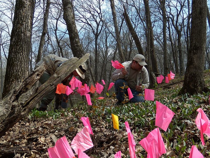 Report Sightings To Local Conservation Groups