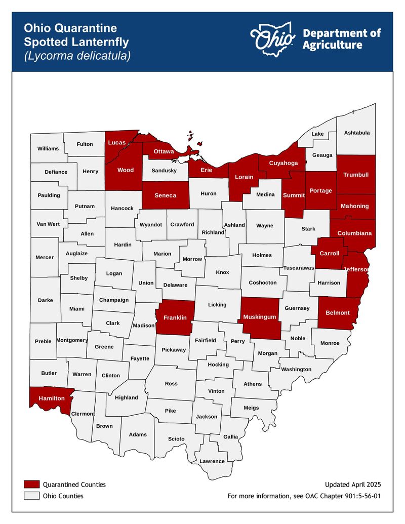 Report The Find To Ohio Officials Report The Find To Ohio Officials