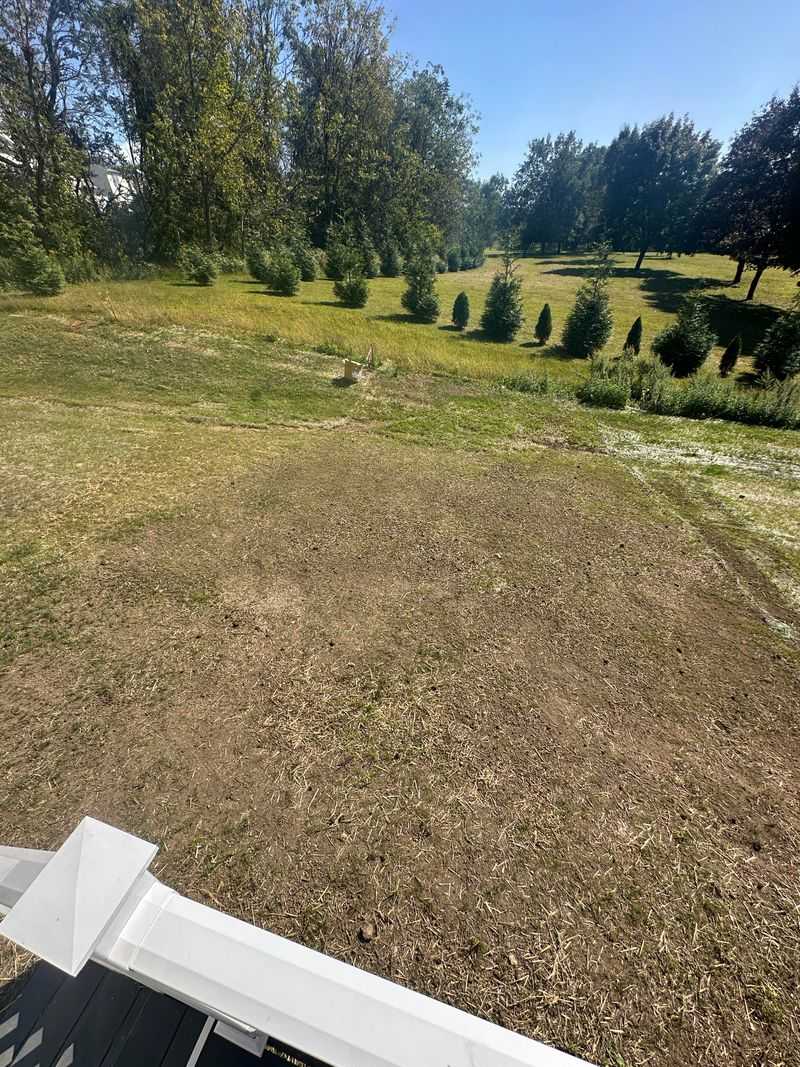 Reseed Thin Turf Before Weeds Fill In Reseed Thin Turf Before Weeds Fill In