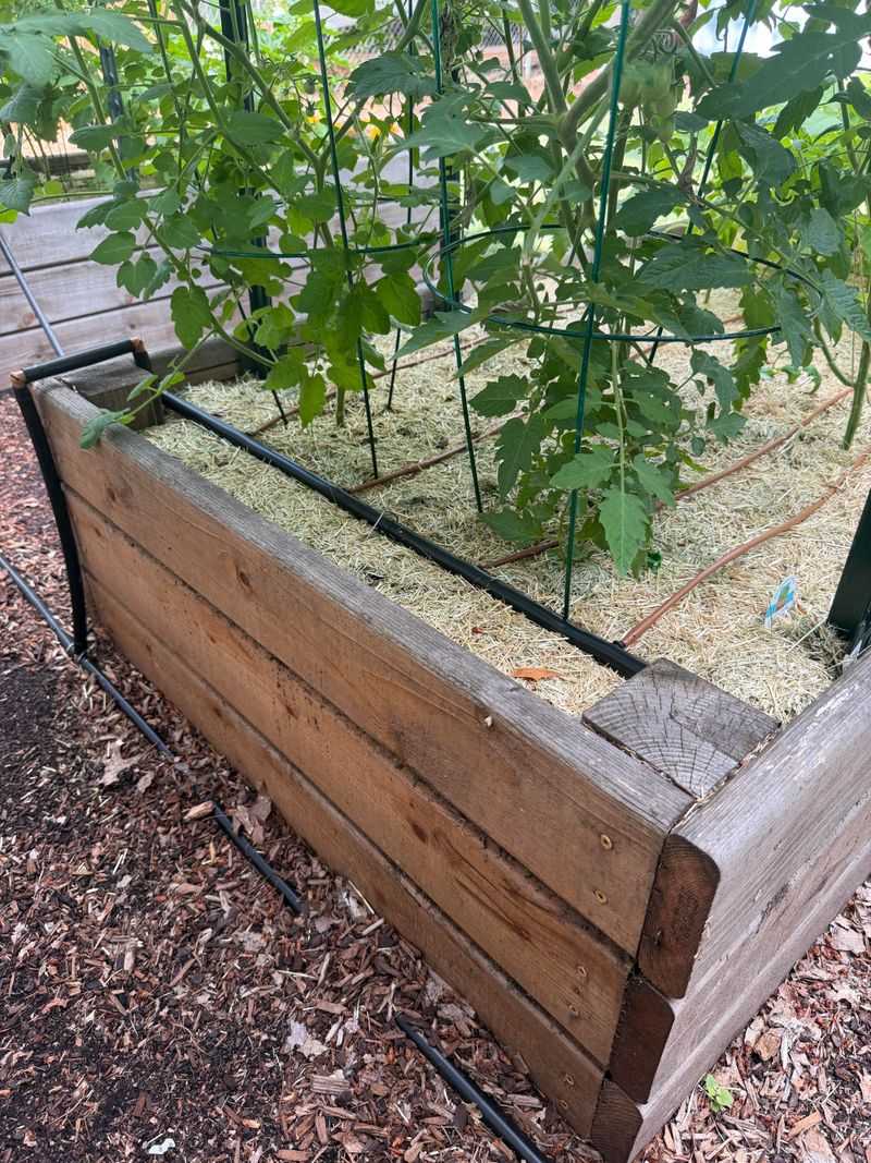 Reset Irrigation For The Fall Garden
