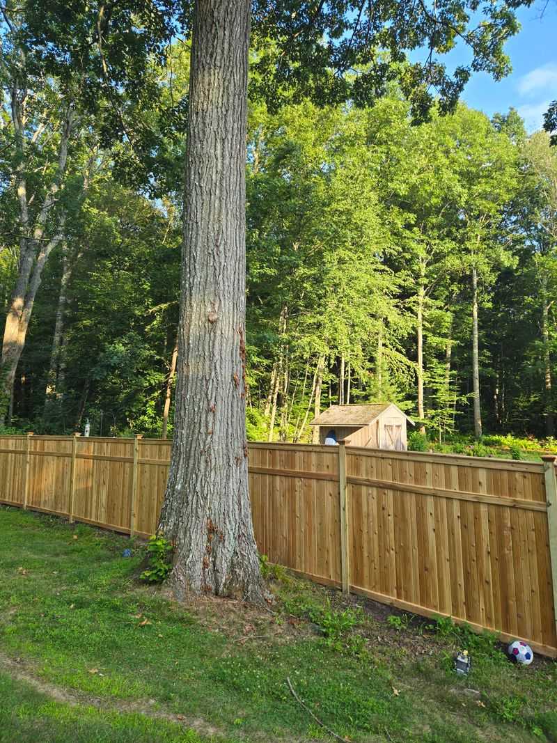 Resolving Property Line Issues Peacefully Resolving Property Line Issues Peacefully