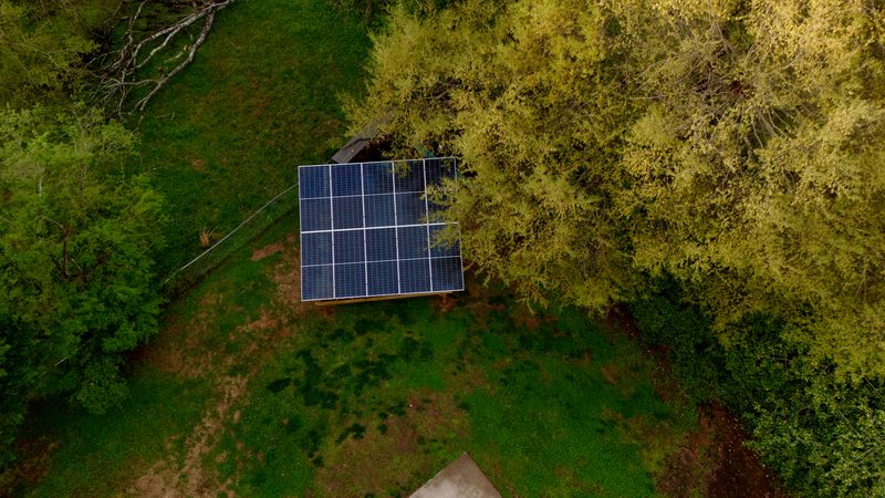 Review Local Tree And Solar Rules