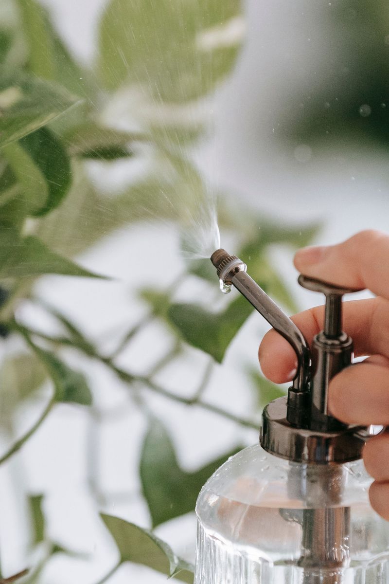 Reviving Stressed Houseplants Without Disturbing Roots
