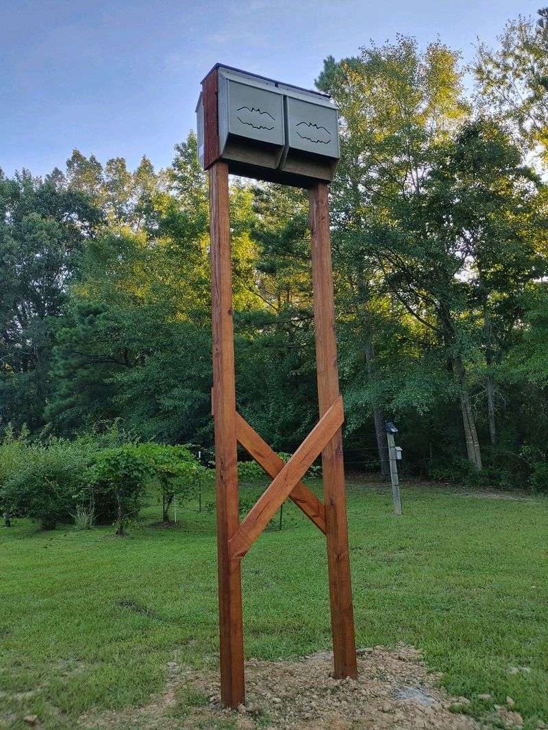 Roosts May Be Closer Than You Realize