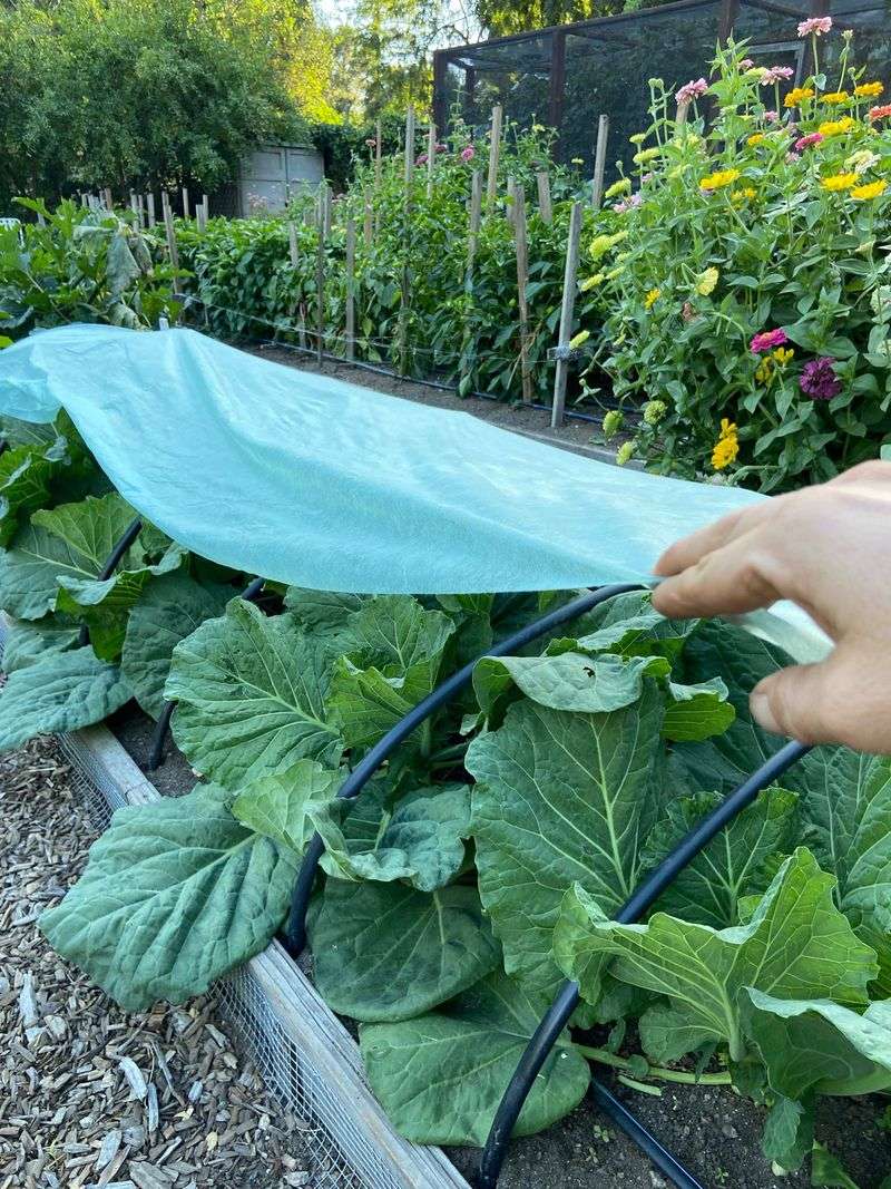 Row Covers Guard Tender New Plants Row Covers Guard Tender New Plants
