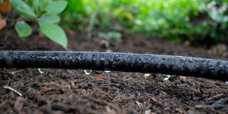 Run The Soaker Hose Slowly Enough For Water To Sink Deep Run The Soaker Hose Slowly Enough For Water To Sink Deep