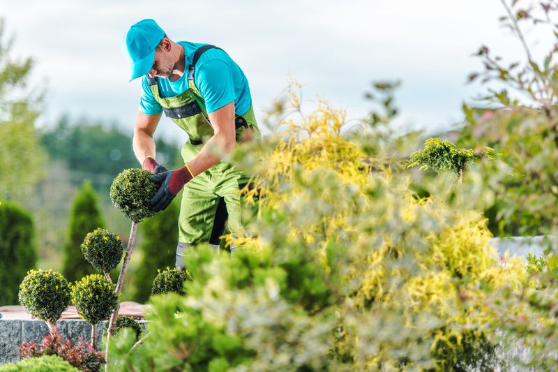 Sanitize Blades Before Touching The Next Shrub