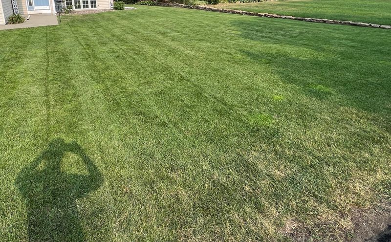 Save Aeration For Firmer Soil