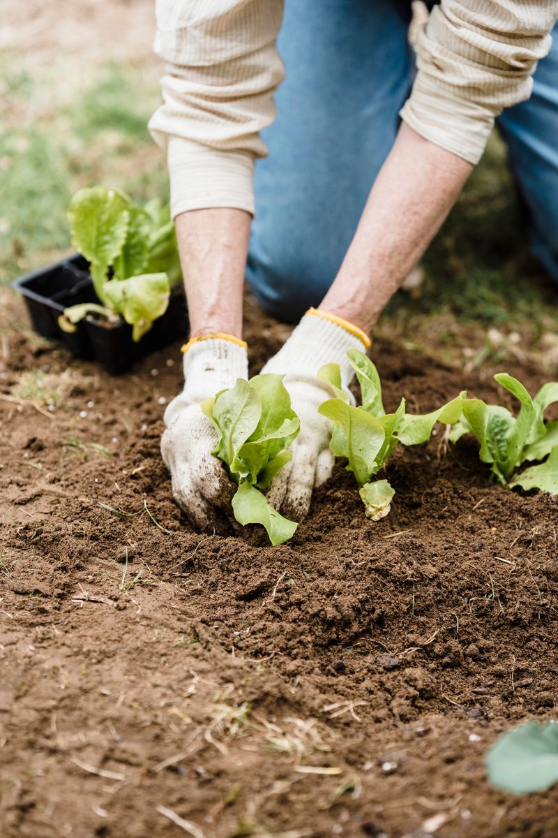 Save Heavy Chores For Cooler Weather Save Heavy Chores For Cooler Weather