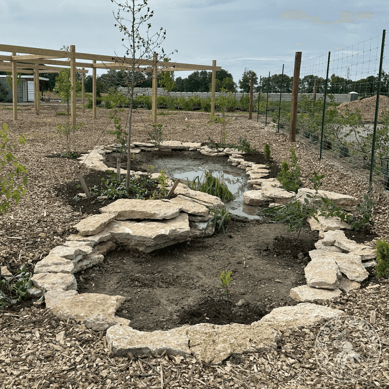 Scioto Gardens Is A Destination For Serious Native Tree Shoppers Scioto Gardens Is A Destination For Serious Native Tree Shoppers