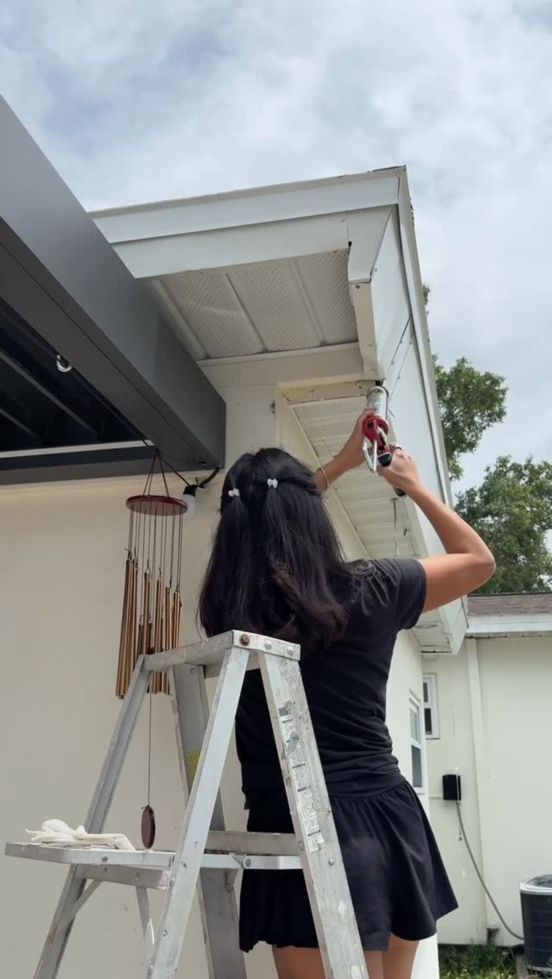Sealing Entry Points Before Fall Arrives Sealing Entry Points Before Fall Arrives