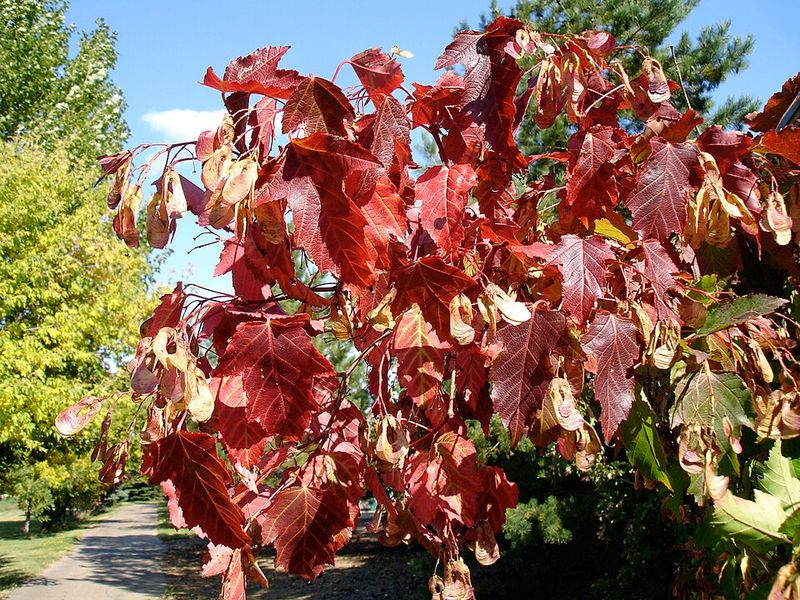 Seasonal Color And Landscape Appeal Seasonal Color And Landscape Appeal