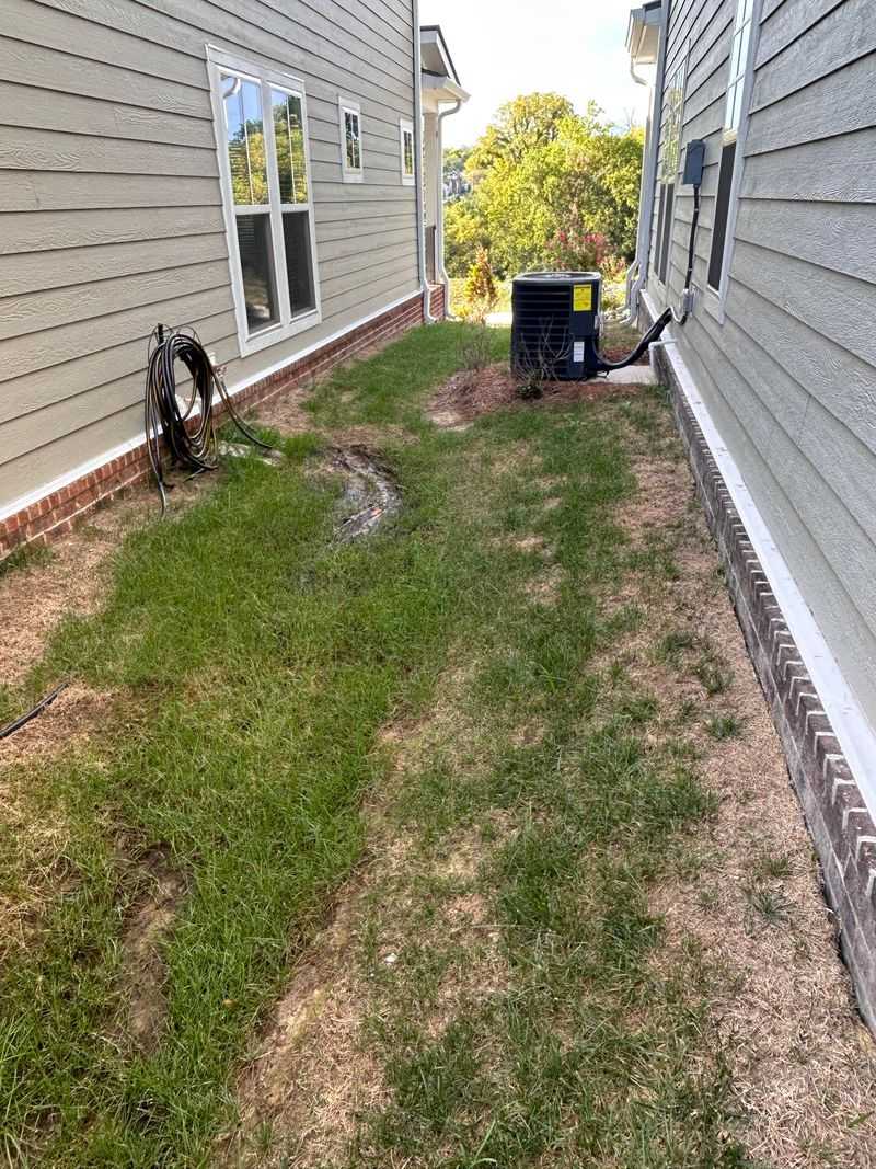 See How Night Watering Creates A Damp Trail Home See How Night Watering Creates A Damp Trail Home