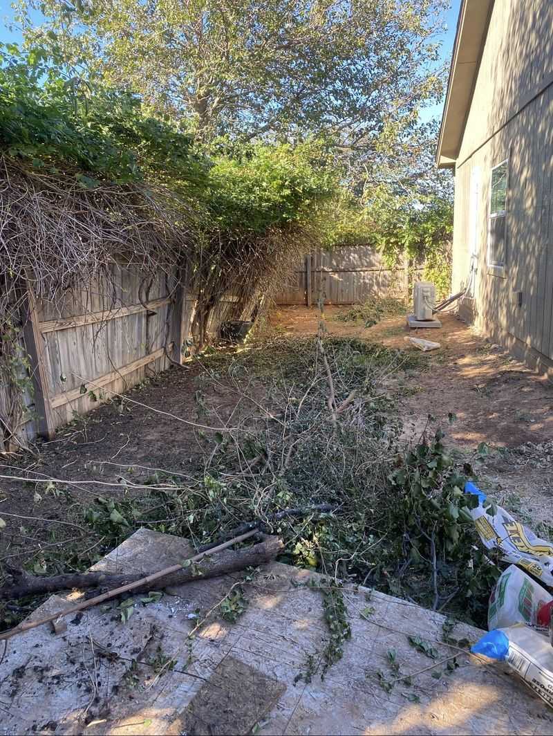 Seeds And Roots Do Not Respect Property Lines